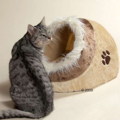 Nicchia Trixie Minou - beige / marrone