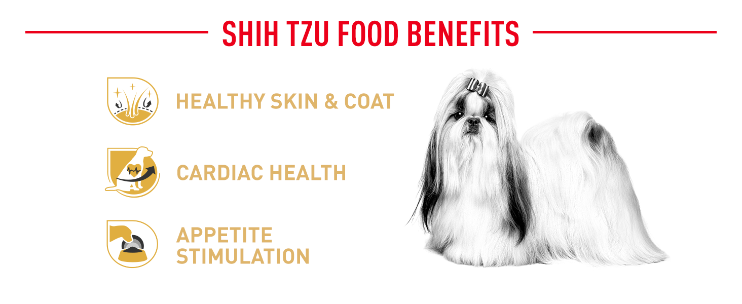 Best dog food for shih tzu uk hotsell