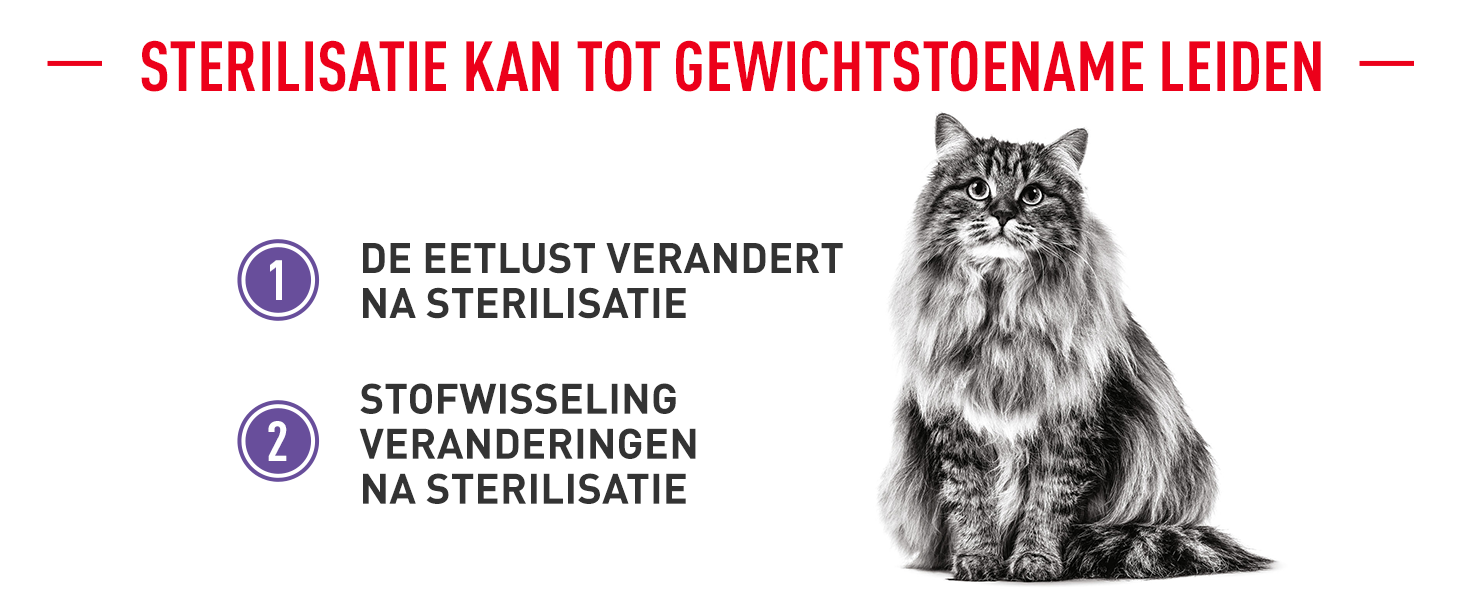 Royal Canin