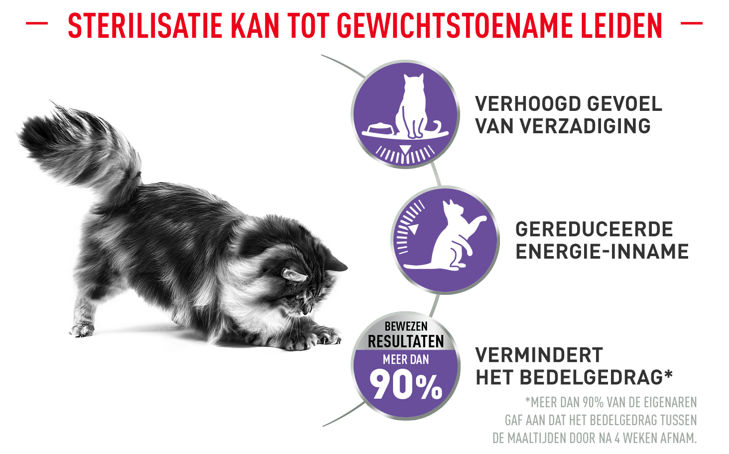Royal Canin