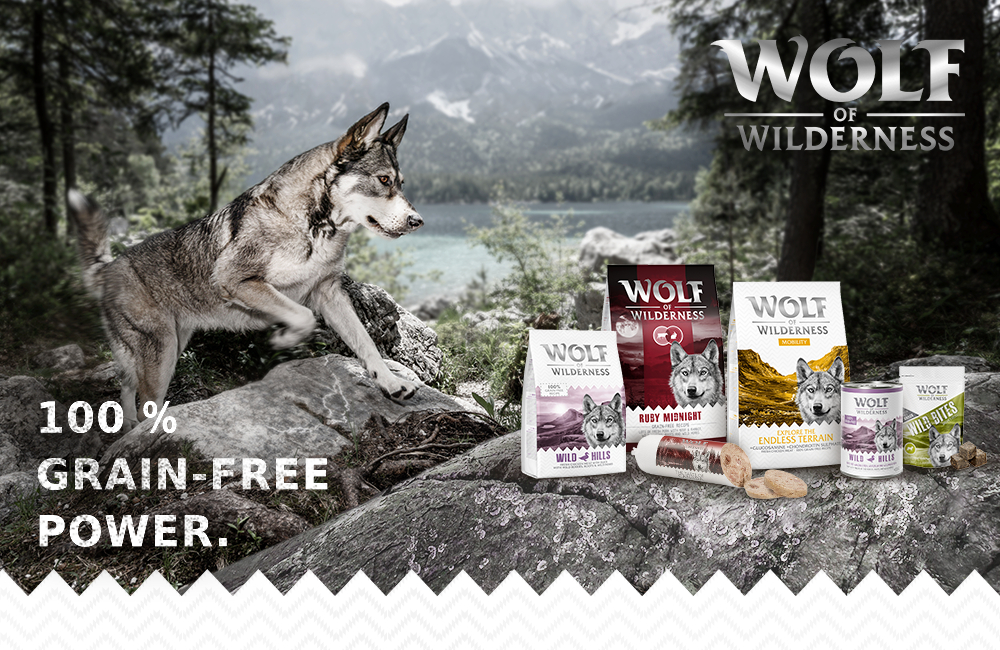 Wolf of Wilderness - Wild & Free