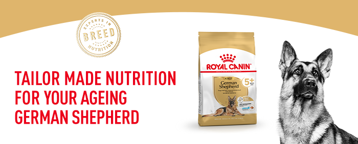 Royal Canin Deutscher Schäferhund Senior