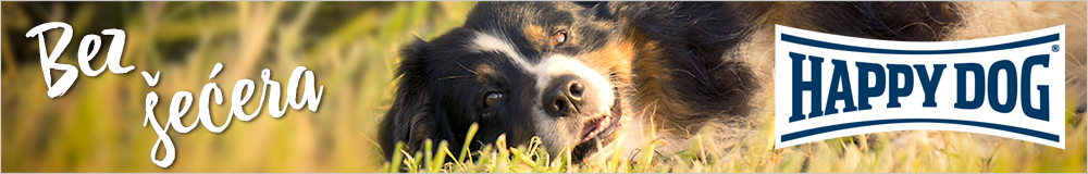 Happy Dog 
