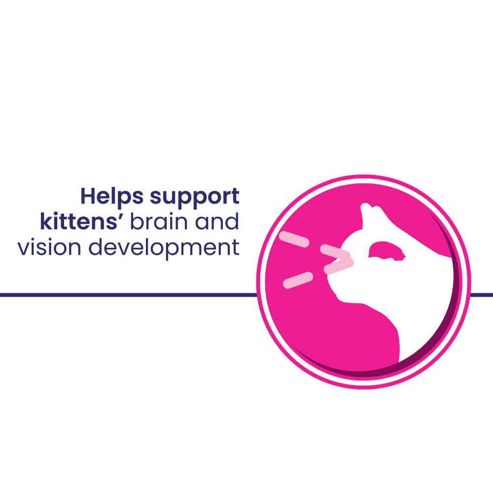 Helps support kittens' brain and vision development