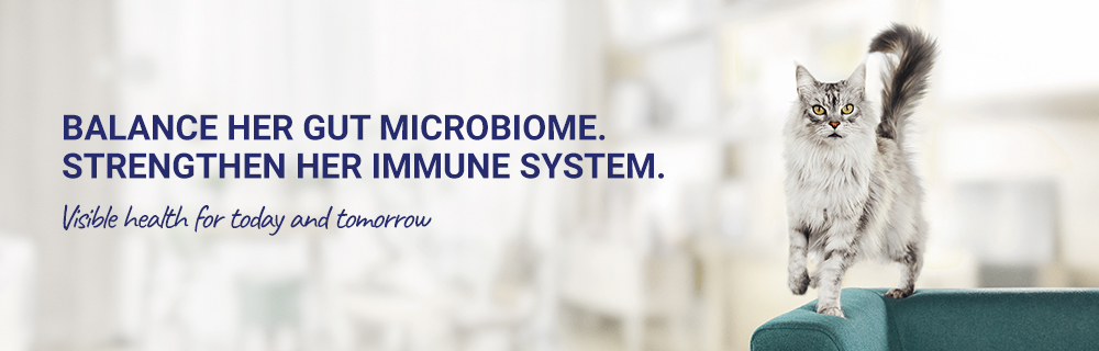 Balance her gut microbiome. Strengthen her immune system. Visible health for today and tomorrow