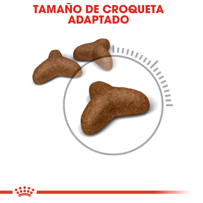 Royal Canin Light Weight Care gatos