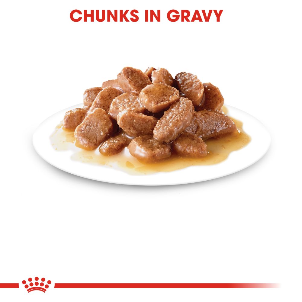 Chunks in Gravy