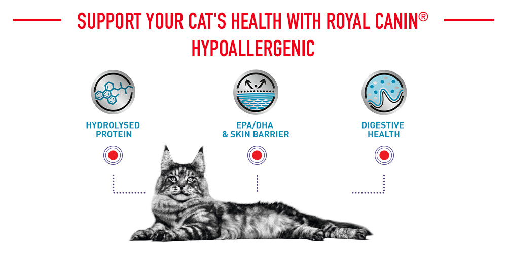 Support Your Cat's Health with Royal Canin Hypoallergenic