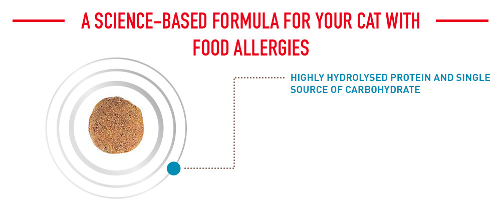 Une formule scientifique pour votre chat souffrant d'allergies alimentaires