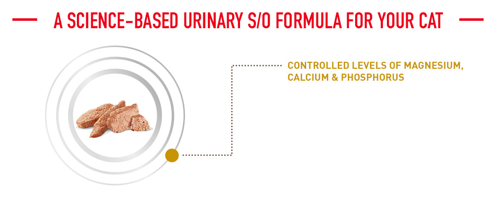 A Science-Based Urinary S/O Formula for Your Cat