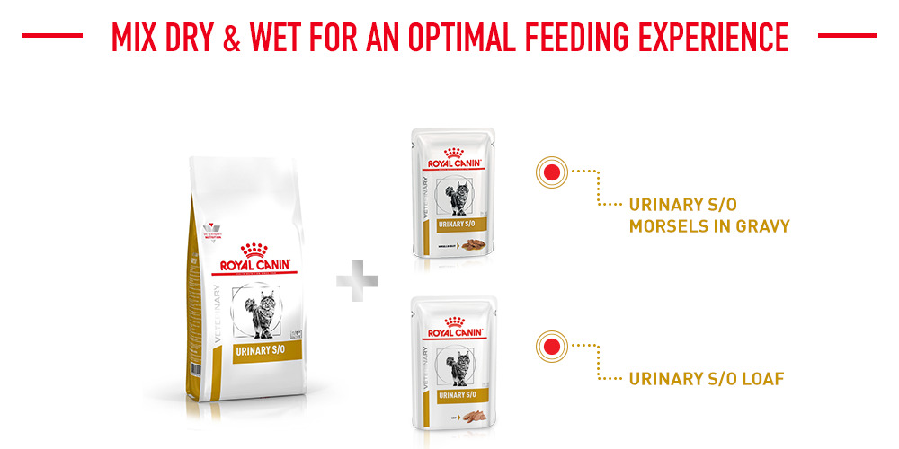 Mix Dry & Wet for an Optimal Feeding Experience