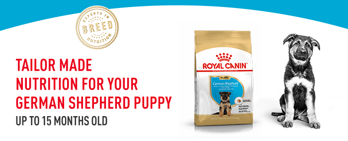 Royal Canin Breed German Shepherd Puppy