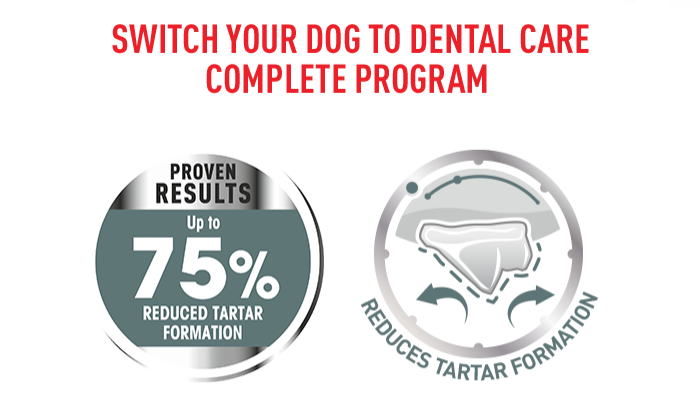 Royal Canin Dental Care nachweisbare Ergebnisse