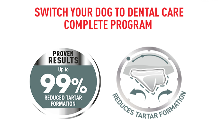 Royal Canin Dental Care Medium Nachweisbare Ergebnisse