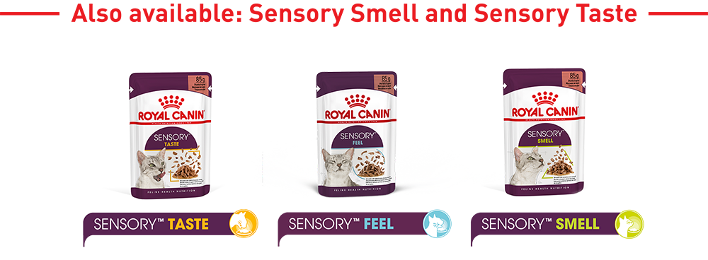 RoyalCanin_FHN_Sensory_Wet_FEEL_Jelly_LP_desktop_module_6_1.png
