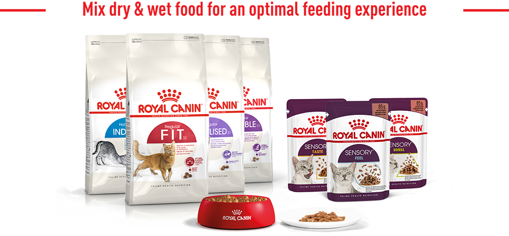 RoyalCanin_FHN_Sensory_Wet_SMELL_Jelly_LP_desktop_module_5_1.png