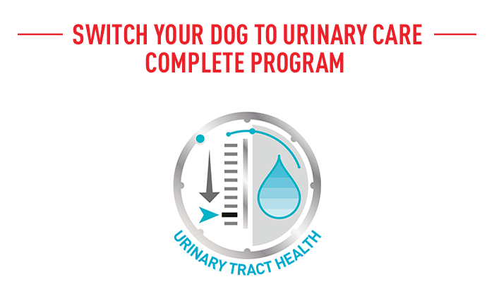 Royal Canin Urinary Care Mini