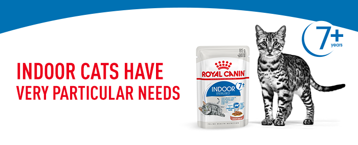 Royal Canin Indoor Sterilised 7+ in Gravy | zooplus