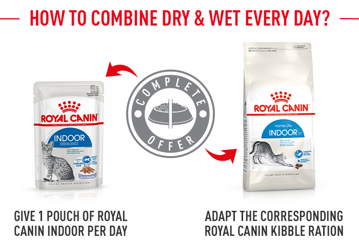 Royal Canin Indoor Sterilised in Jelly pour chat en sachet 12x85g