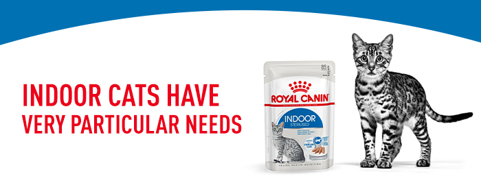 Royal canin 2024 indoor sterilised