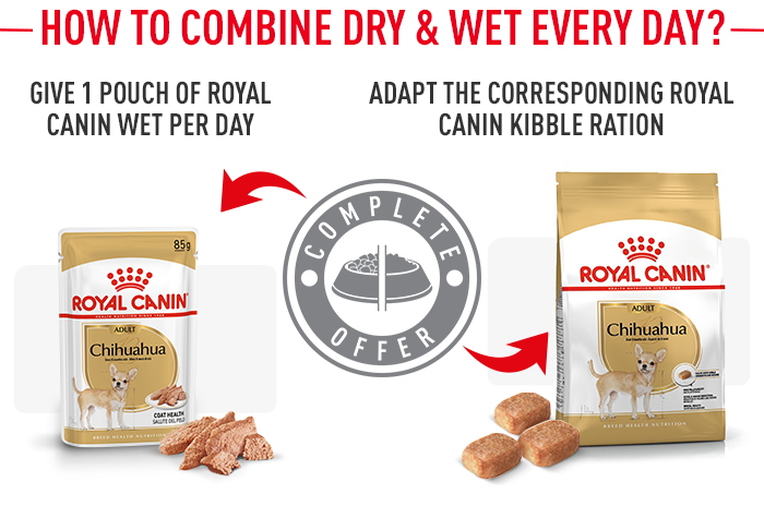 Royal canin chihuahua dry clearance food