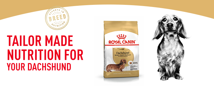 Royal canin dachshund 7.5 hot sale kg