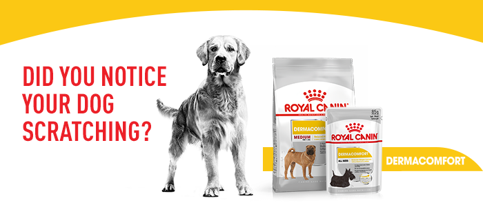 Royal canin clearance dermacomfort dog food