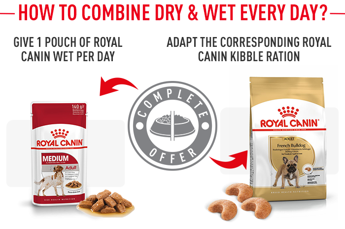 Royal canin french bulldog hotsell dog food