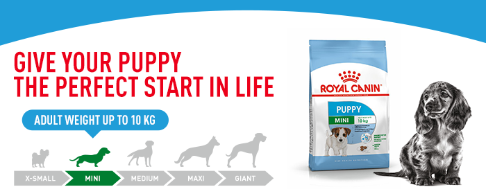 Royal canin puppy on sale zooplus