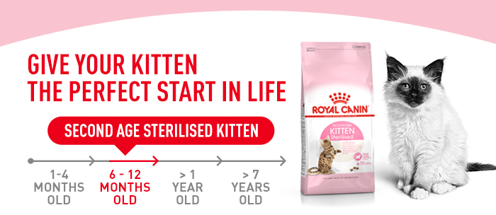 royal canin kitten sterilised