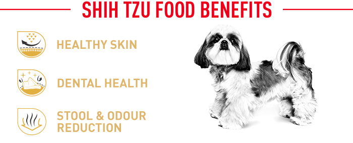 Royal Canin Shih Tzu Adult Buy Now At Zooplus Ie