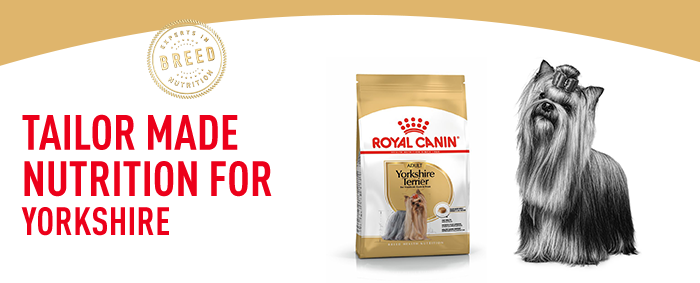 Royal canin clearance yorkie wet food