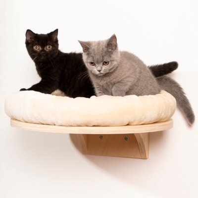 Natural paradise wall 2024 mounted cat bed