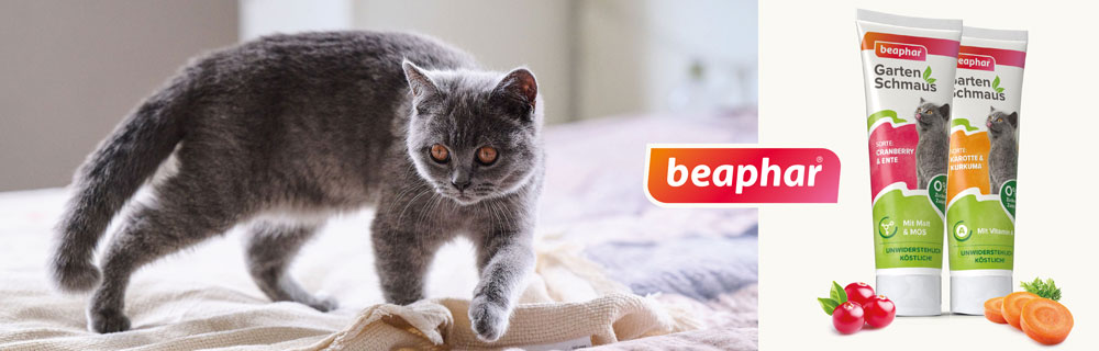 Beaphar Multi-Frisch pour les toilettes pour chats 400 g Brise fraîche