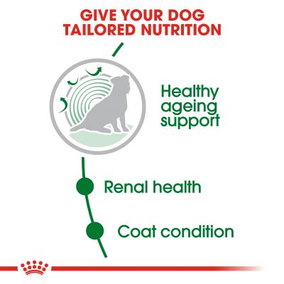  How Long Does a PET Scan Take for Lungs? Discover the Timing and Process for Your Lung Health