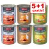 5 + 1 gratis! 6 x 800 g Animonda GranCarno Adult Single Protein misto - Mix Tacchino
