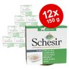 Schesir 12 x 150 g - filetti di Pollo e Ananas