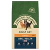 James Wellbeloved Adult Cat Oral Health - Tacchino - 4 kg