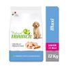 Natural Trainer Maxi Junior con Pollo fresco - 12 kg