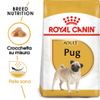Royal Canin Pug Adult - 3 kg