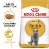Royal Canin British Shorthair Adult - 400 g