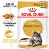 Umido Royal Canin Maine Coon in Salsa  - 48 x 85 g