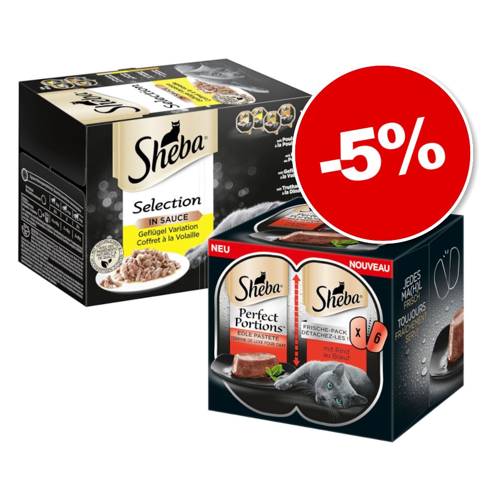 48x85g coffret sauce délicate Sauce spéciale Barquettes Sheba - Nourriture pour Chat + 48x37,5g bœuf Perfect Portions Sheba : 5 % de remise !