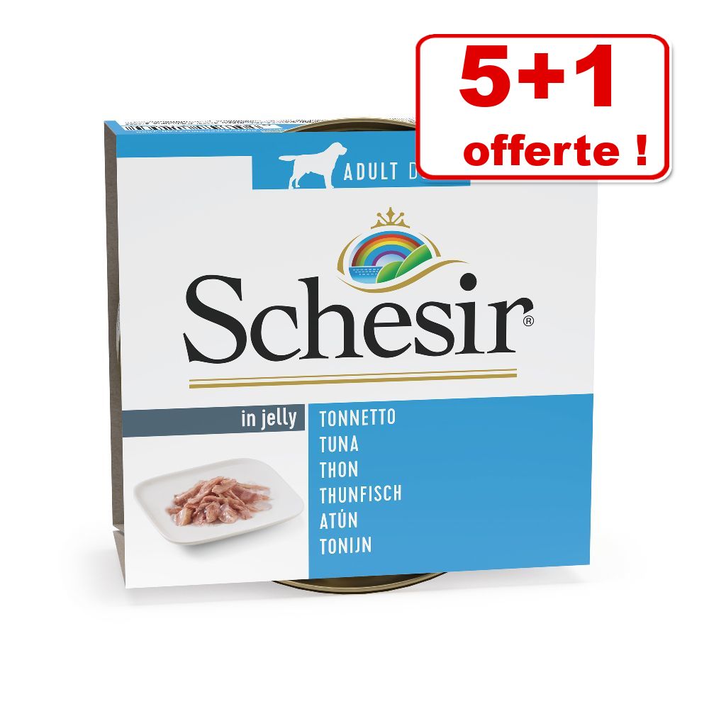 6x150g poulet Schesir nourriture humide pour chien