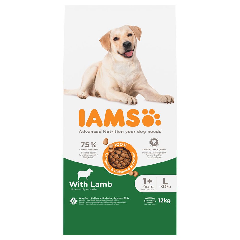 12kg IAMS Advanced Nutrition Adult Large Dog mit Lamm Hundetrockenfutter