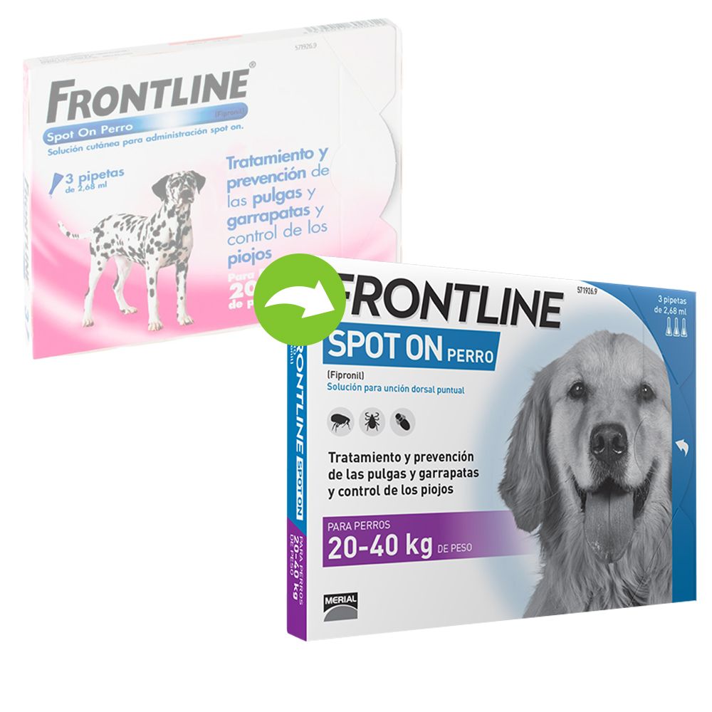 Image of Frontline® Spot-On para perros de 20 kg hasta 40 kg - 2 x 3 pipetas 03661103003823