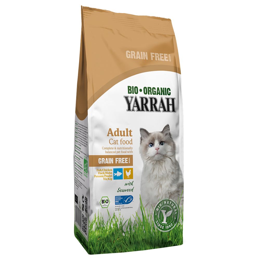 Dog Fish Breath: Dry Cat Food Without Fish