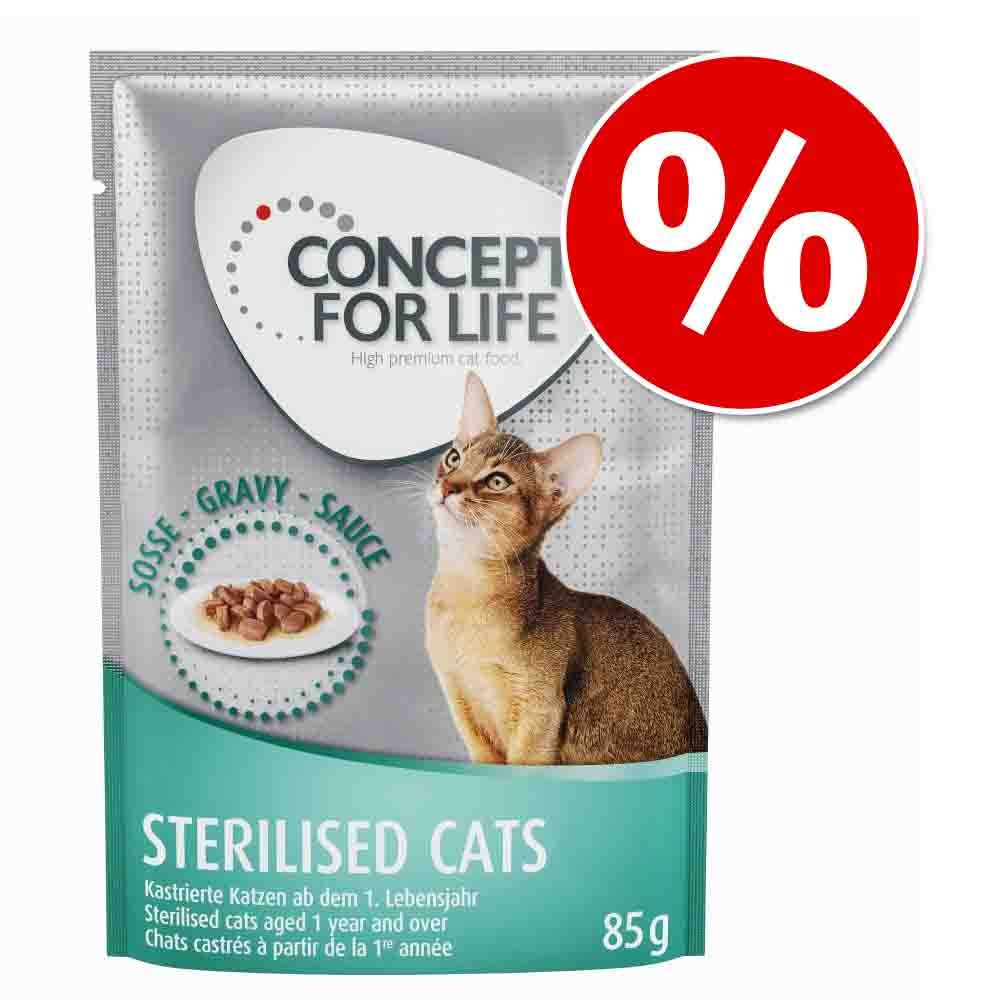 Image of Concept for Life 12 x 85 g ¡a un precio especial! - All Cats 10+ en gelatina 04260358514918