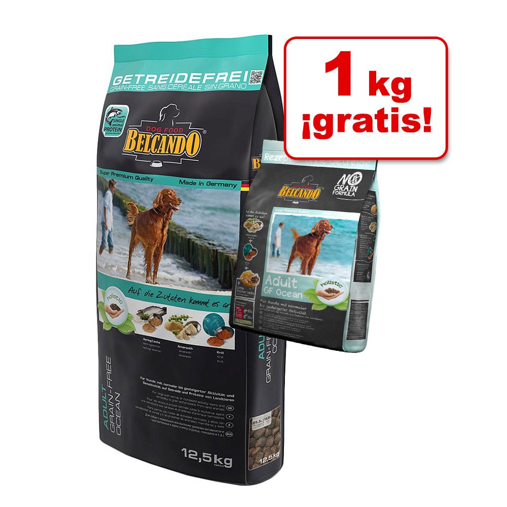 Image of Belcando pienso para perros en oferta: 12,5 / 15 kg + 1 kg ¡gratis! - Adult Dinner - 16 kg 04002633553324