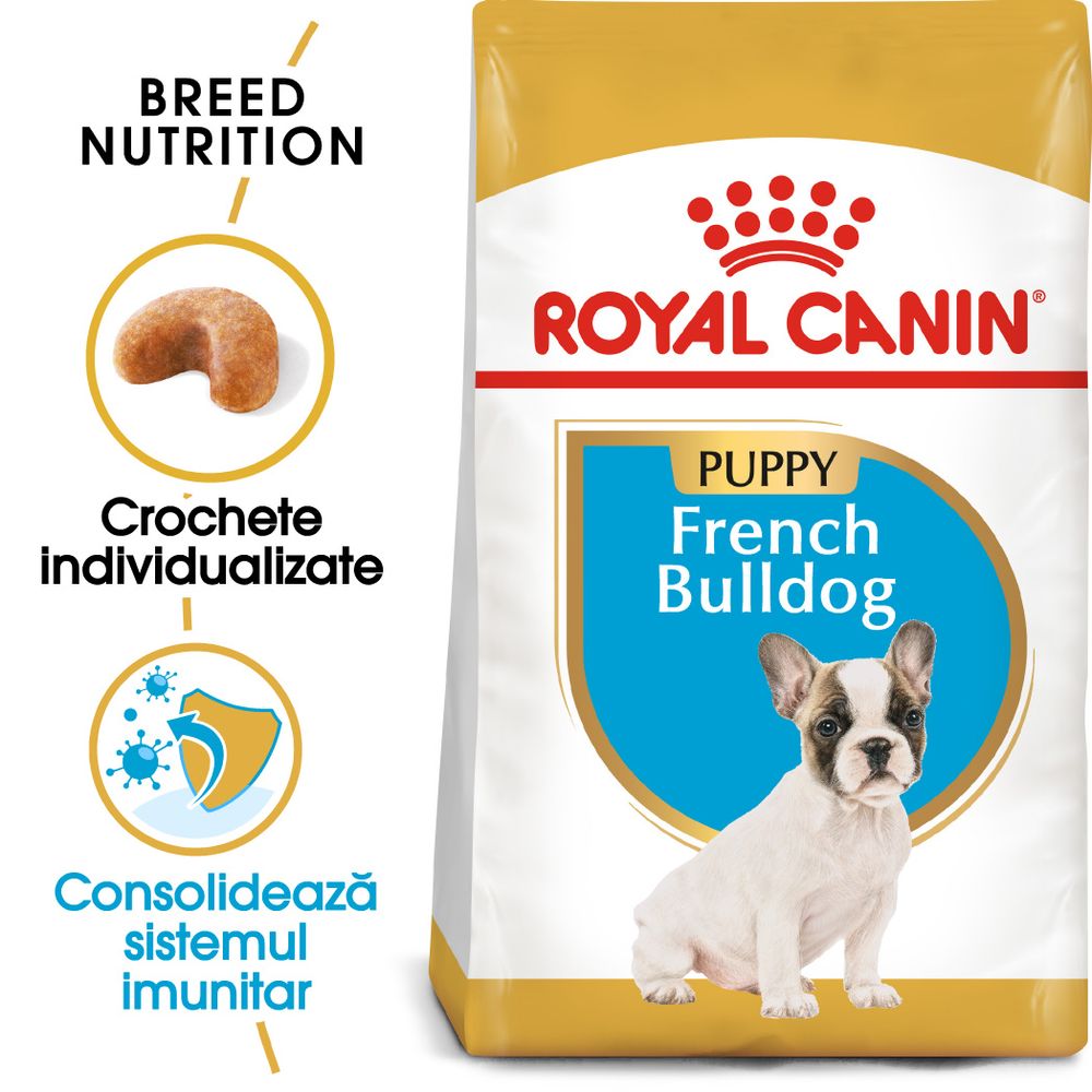10kg French Bulldog Junior Royal Canin Breed Hrană uscată câini